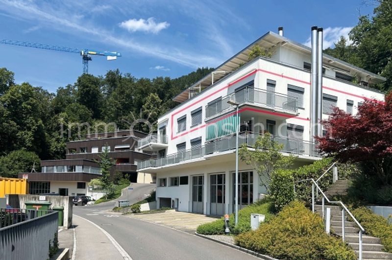 Exklusive 4 ½ Zi. EGTW mit traumhafter Seesicht in Walchwil - 10
