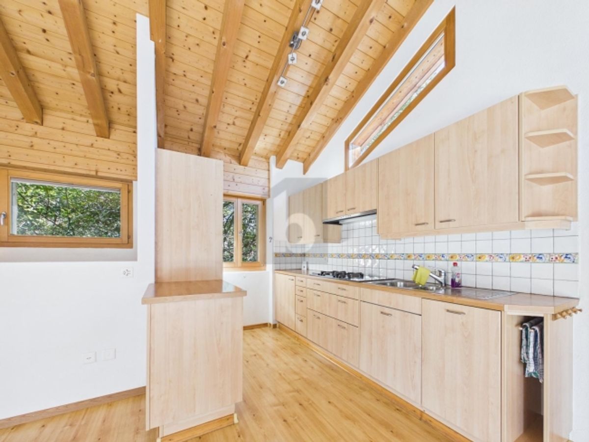 NATURPARADIS MIT WEITSICHT - 2