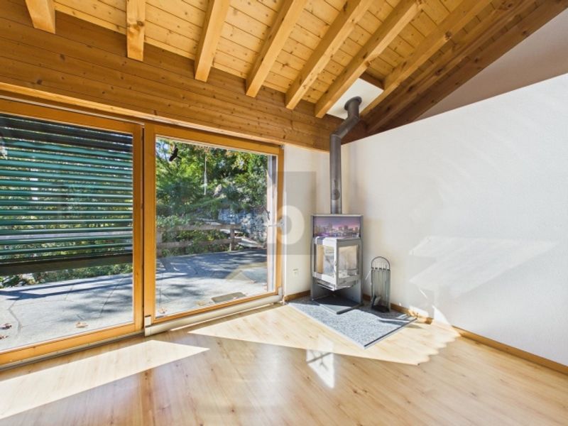 NATURPARADIS MIT WEITSICHT - 4