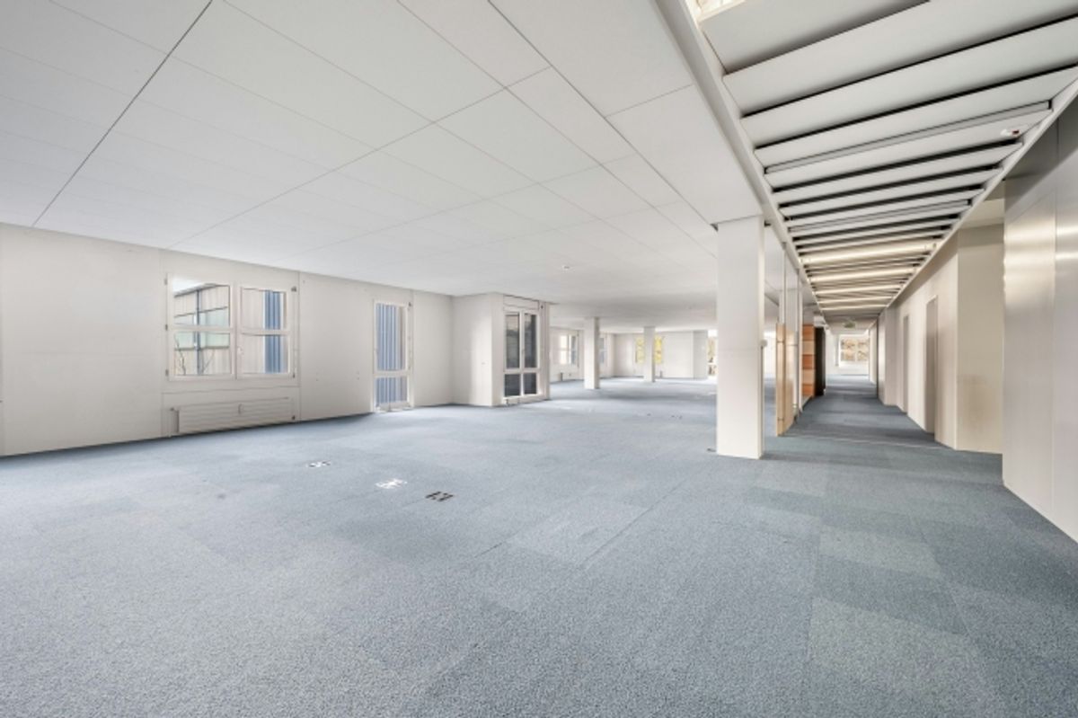 Ausgebaute Büroflächen 355 - 1'250 m2 flexibel unterteilbar - 3