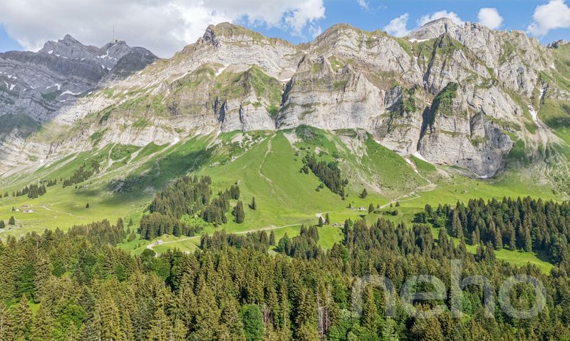 6.5-Zimmer-Einfamilienhaus in naturnaher Lage am Fusse des Säntis - 10
