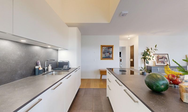 HELLER MODERNER DUPLEX, NUR WENIGE SCHRITTE VON M1 UND EPFL - 5