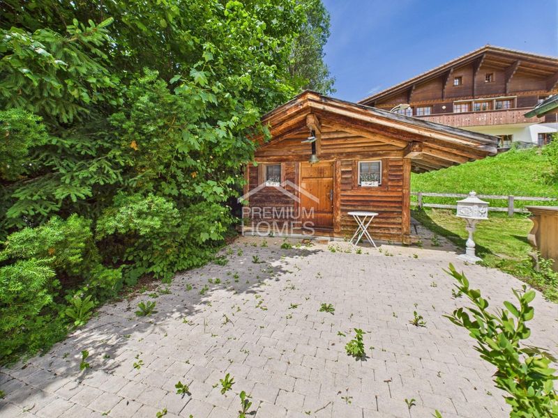 Timeless Treasure on Saanen's Terrace - 4