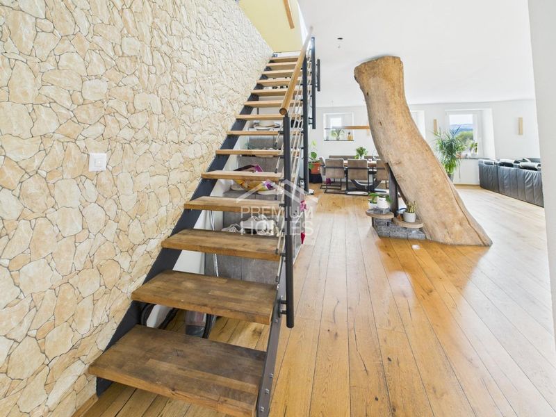 Raum für Leben, Lachen und Familie - 7
