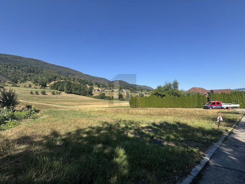 RUHE UND WEITBLICK AN DER NATURSSCHUTZZONE - 4