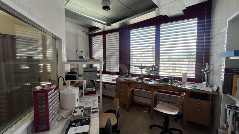 LUMINEUX, CALME &amp; PRATIQUE - 4