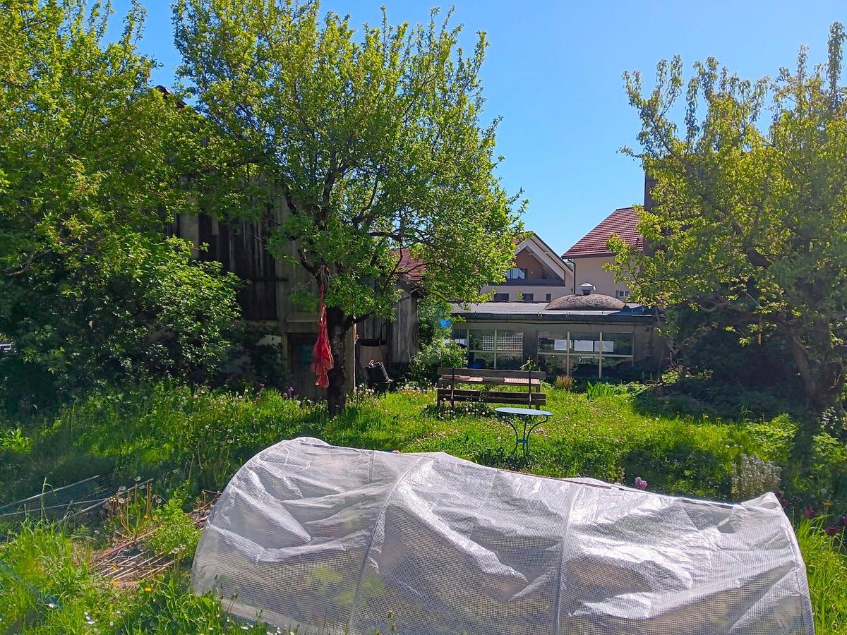 POTENTIEL POLYVALENT AU CUR DU VILLAGE - 3