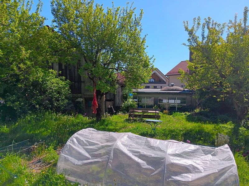 POTENTIEL POLYVALENT AU CUR DU VILLAGE - 4