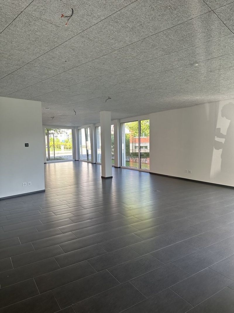 Moderne Gewerbefläche an bester Lage in Heerbrugg - 2