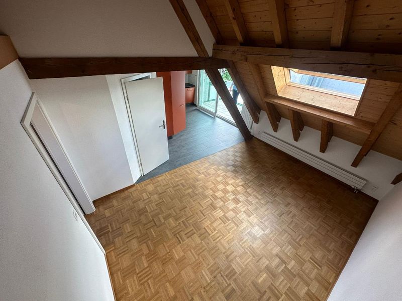 3.5 Zimmer Wohnung - 2