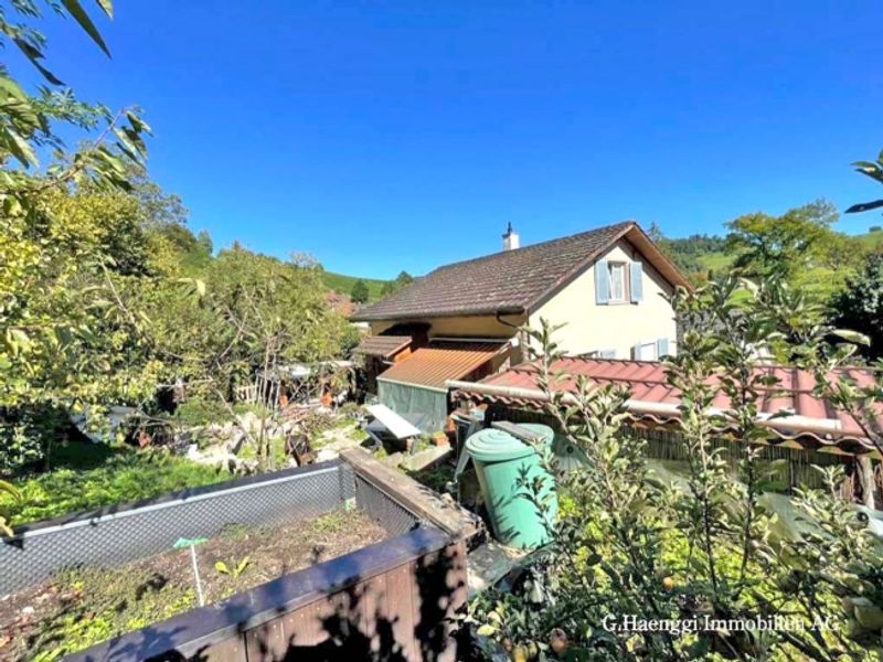 5.5 Zimmer EFH mit Potential am Waldrand - 2