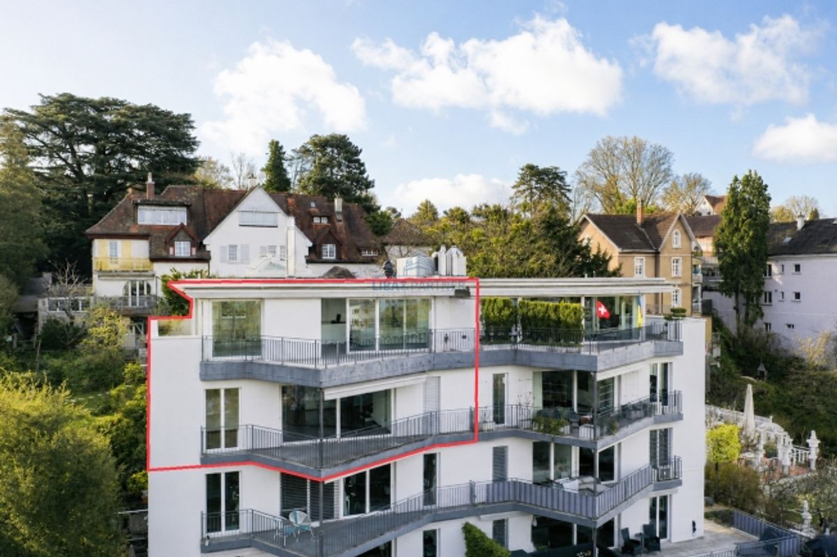 Attika-Maisonette mit unverbaubarem Weitblick über Binningen & Basel - 0