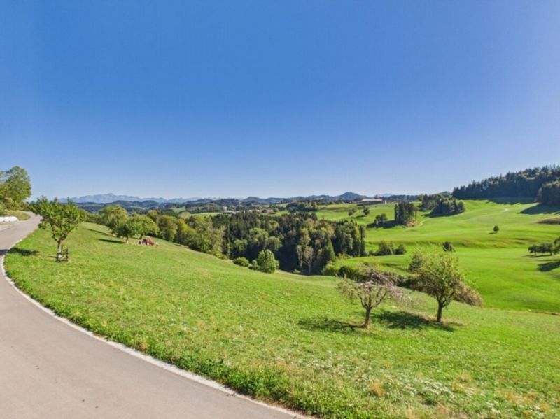 NATURNAHES WOHNEN MIT WEITSICHT - 1
