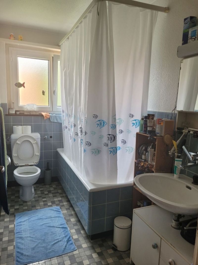 3½ ZI-WOHNUNG IN CHAM (ZG), MÖBLIERT, TEMPORÄR - 5