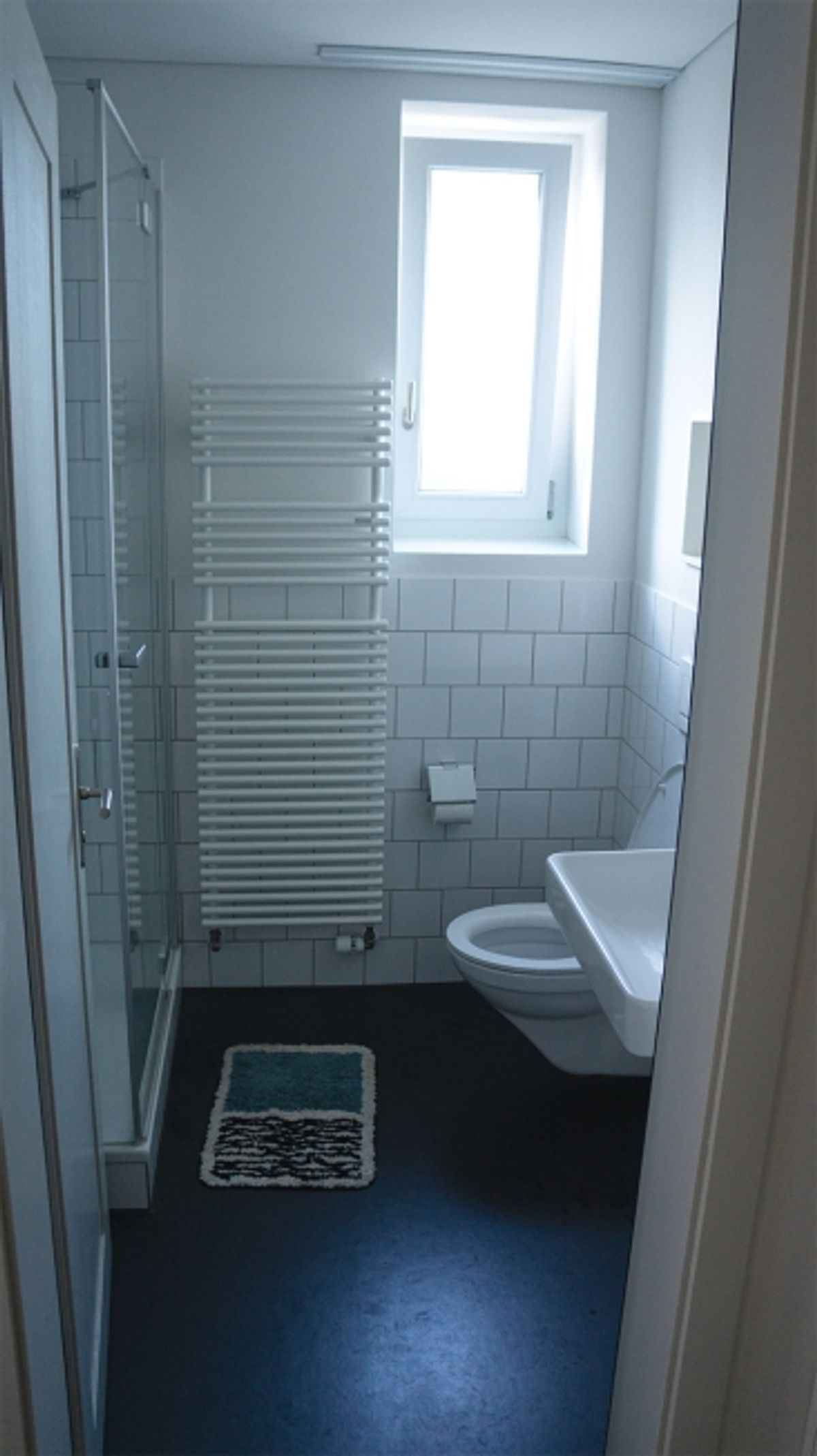 2 ZI-WOHNUNG IN ST. GALLEN, MÖBLIERT, TEMPORÄR - 7