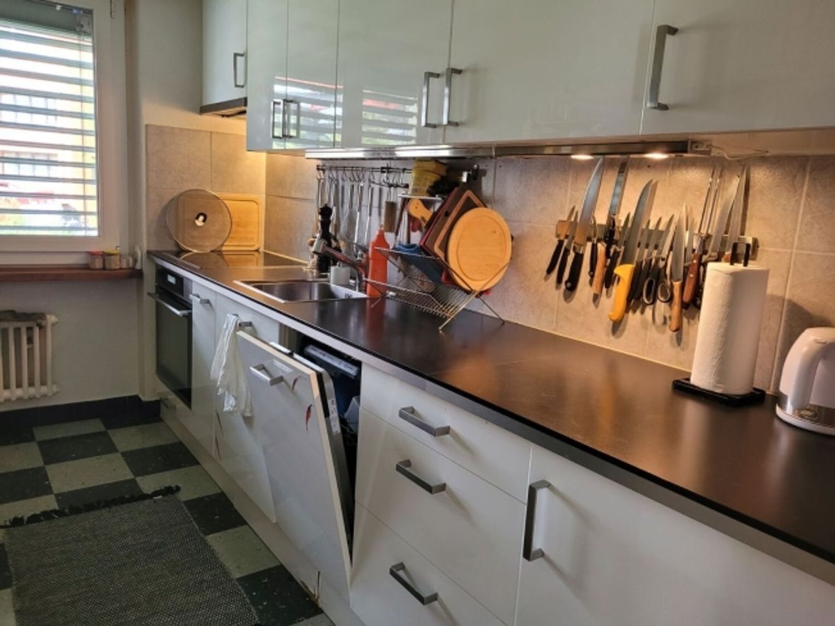 3½ ZI-WOHNUNG IN CHAM (ZG), MÖBLIERT, TEMPORÄR - 2