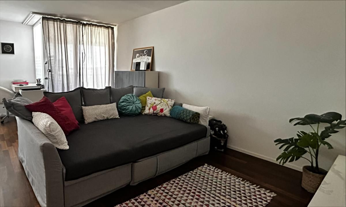 3.5 Zimmer möbl. Wohnobjekt - 1