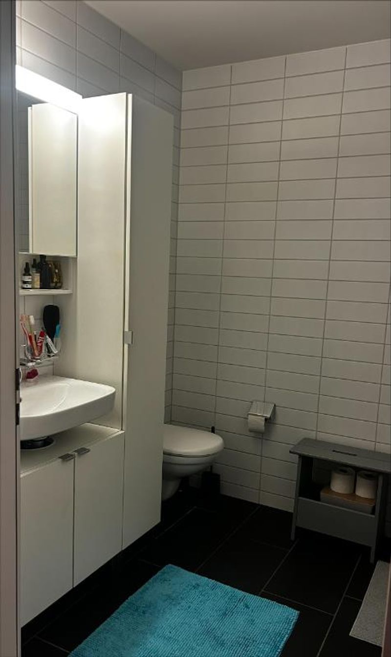 3.5 Zimmer möbl. Wohnobjekt - 7