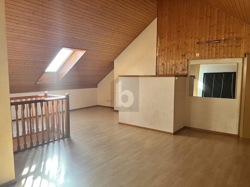 MAGNIFIQUE DUPLEX ATYPIQUE ET SPACIEUX - 2
