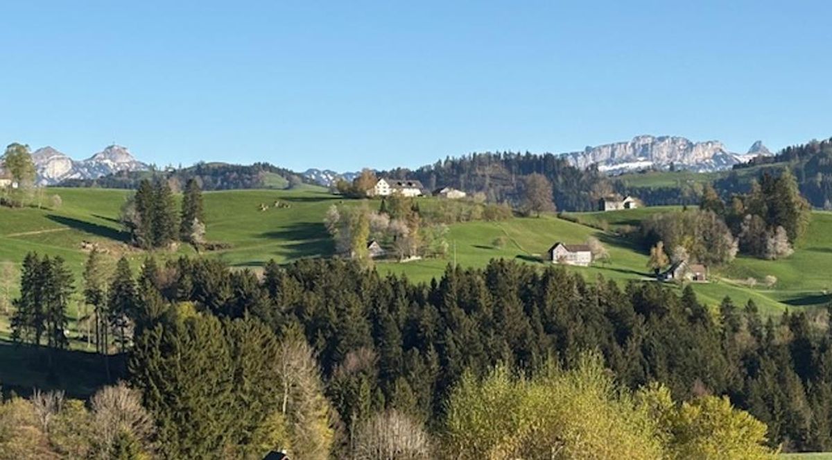 5.5 Zimmer Wohnung - 4