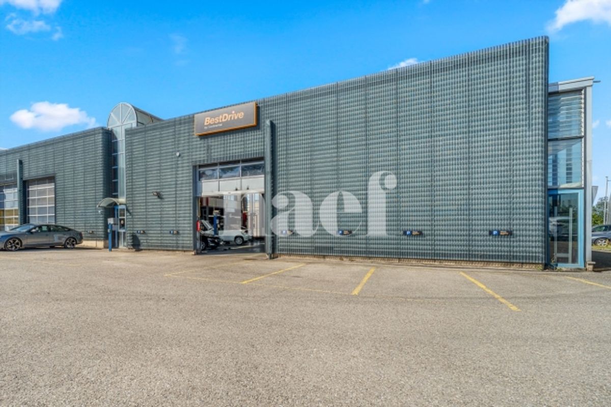 Garage mit Empfang, Werkstatt und Lagerräumen zum Verkauf in Givisiez - 0
