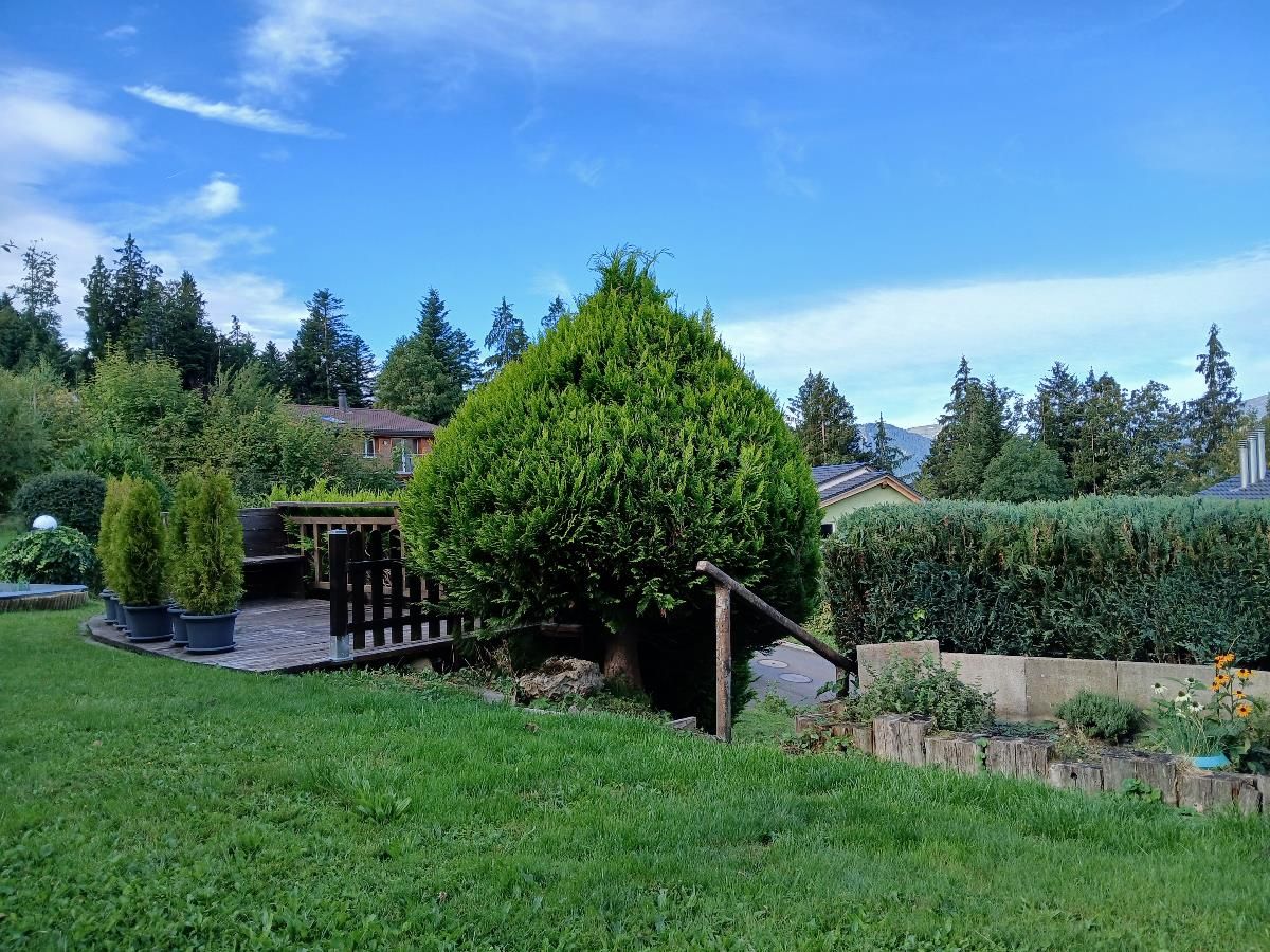 3.5 Zimmer Einfamilienhaus - 5