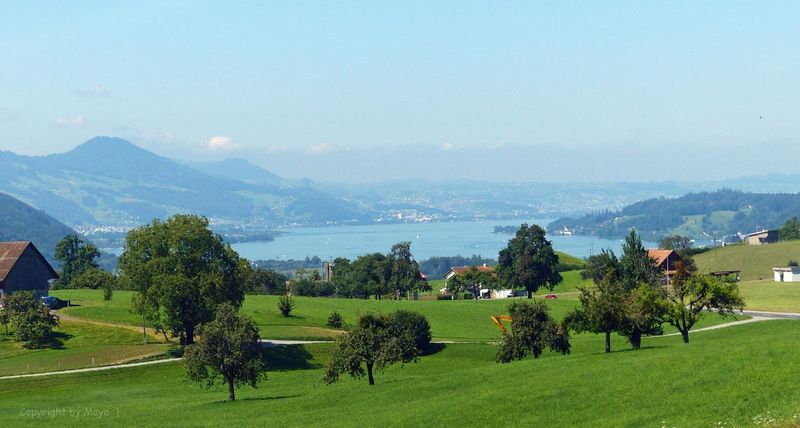 Baustart erfolgt! Neubauprojekt Triangulum Gommiswald Attikawohnung - 2