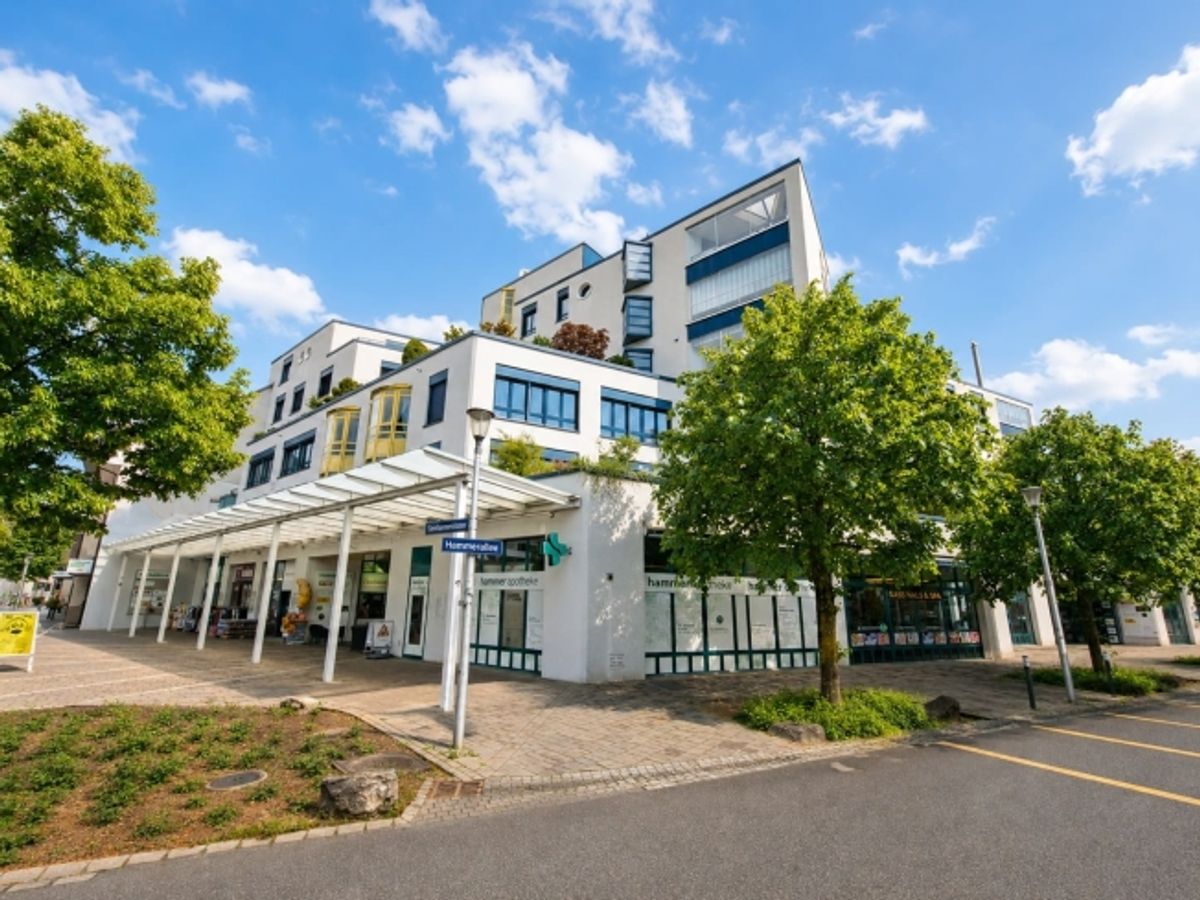 8.8% Rendite-Hit! Vollvermietetes Gewerbe im Zentrum von Olten zu verkaufen - 5