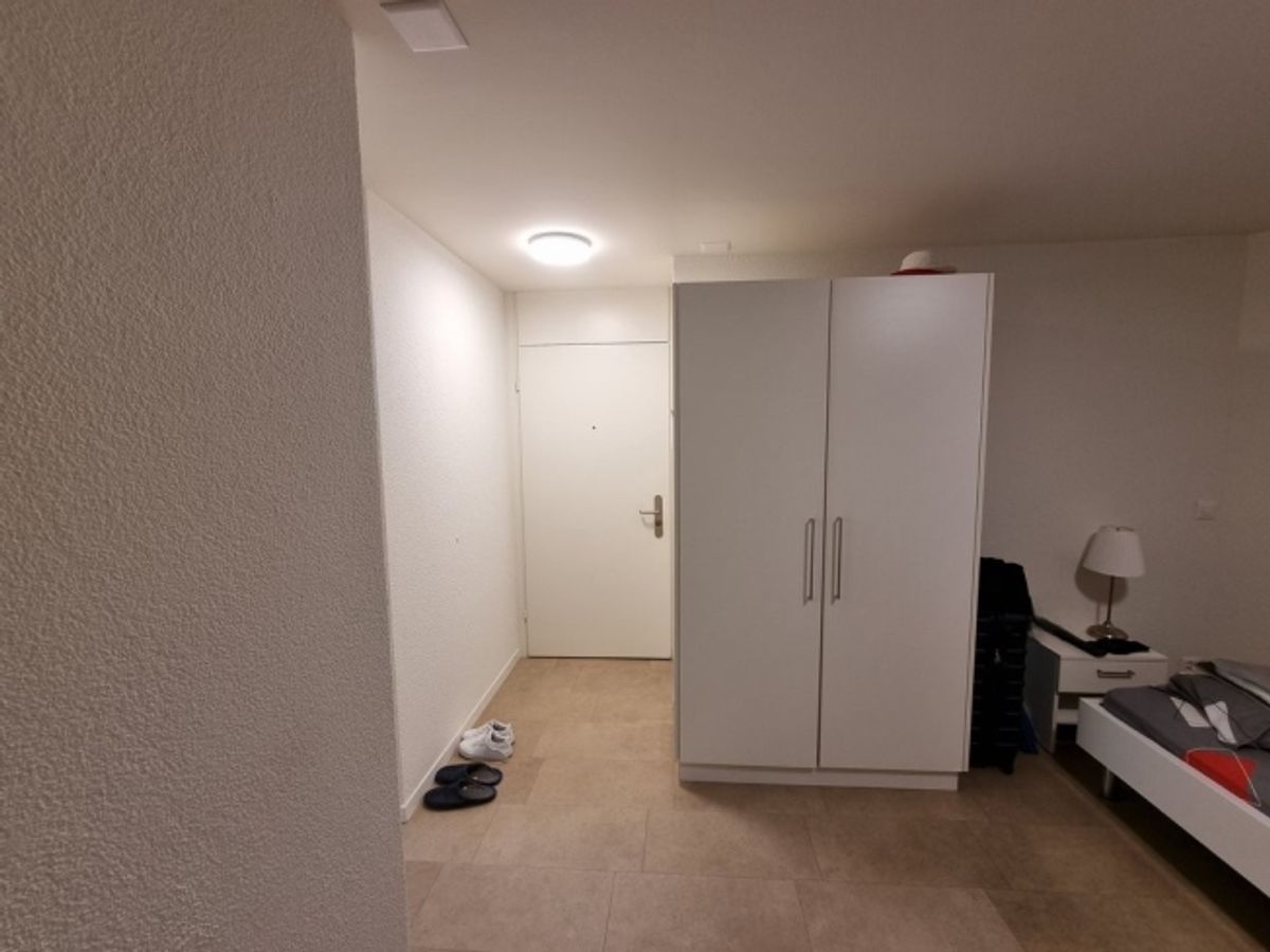 Möblierte Wohnung in Mitten von Zürich - 5