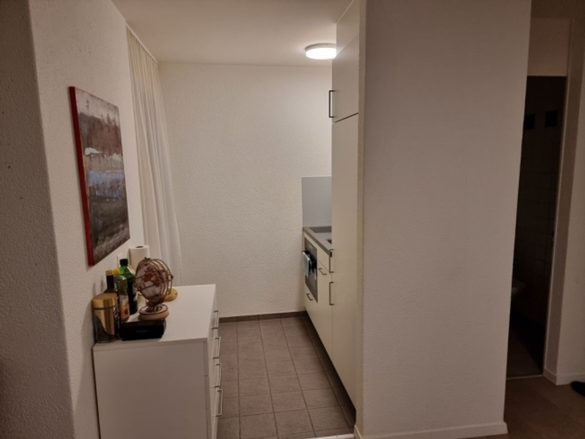 Möblierte Wohnung in Mitten von Zürich - 1