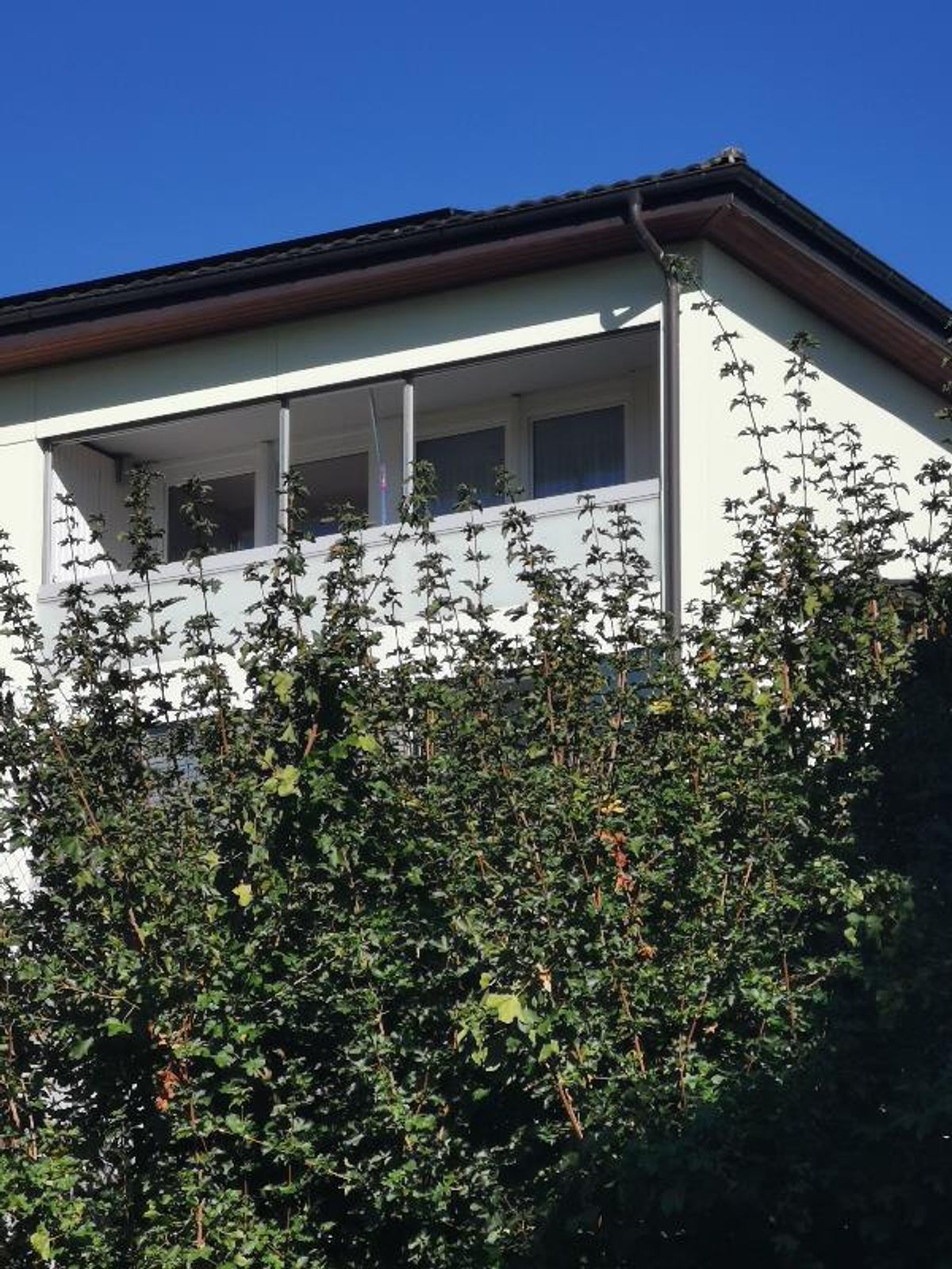Wohnung - 7