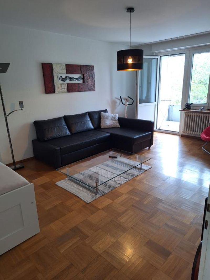 2.5 Zimmer Wohnung - 1