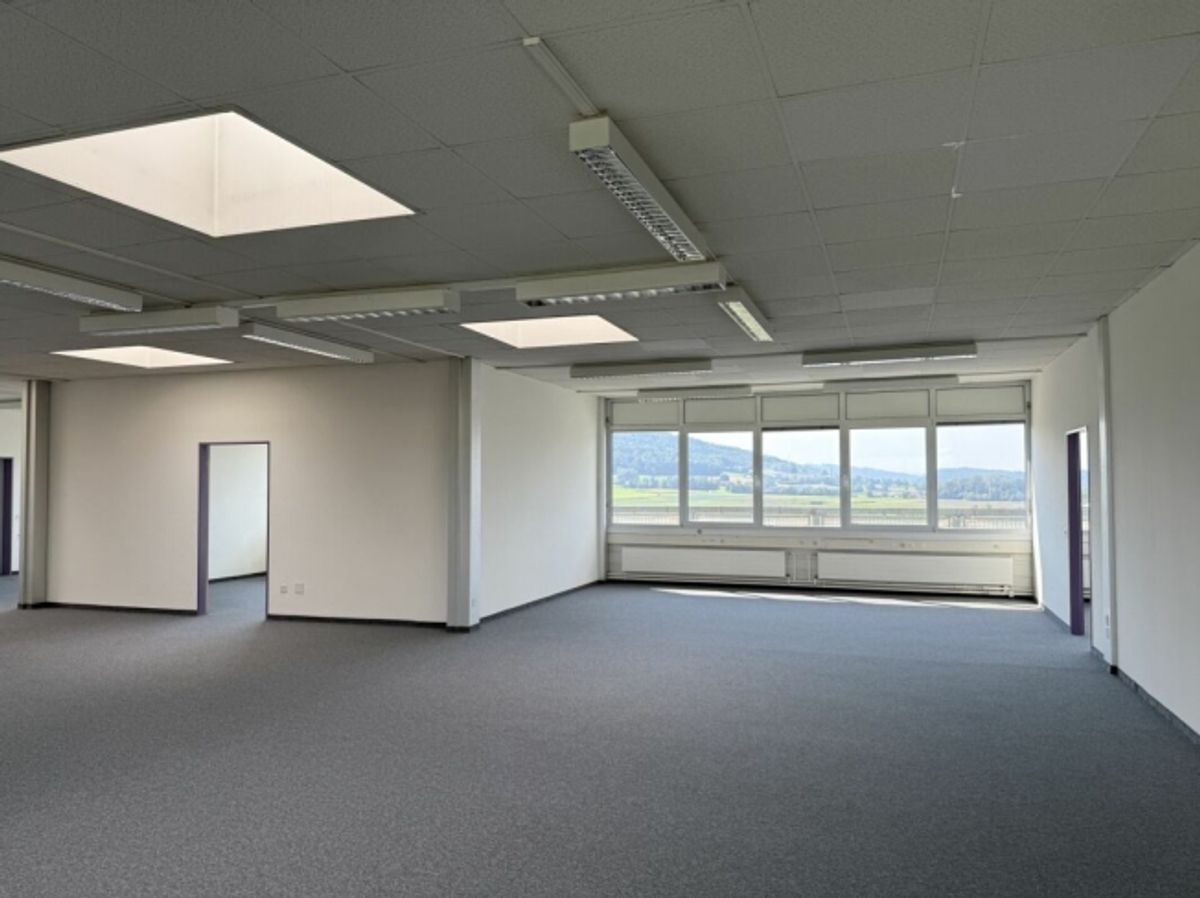 Stolze Gewerbeliegenschaft in Dällikon - 4