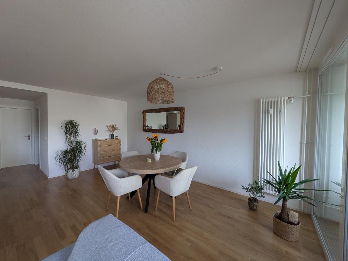 3.5 Zimmer Wohnung - 0