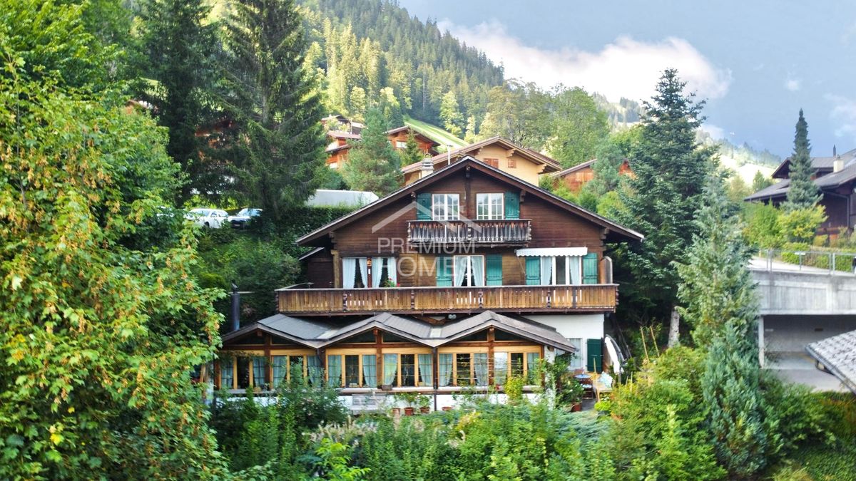 Ein Chalet, zwei Einheiten, viele Möglichkeiten - Ihre Chance! - 0