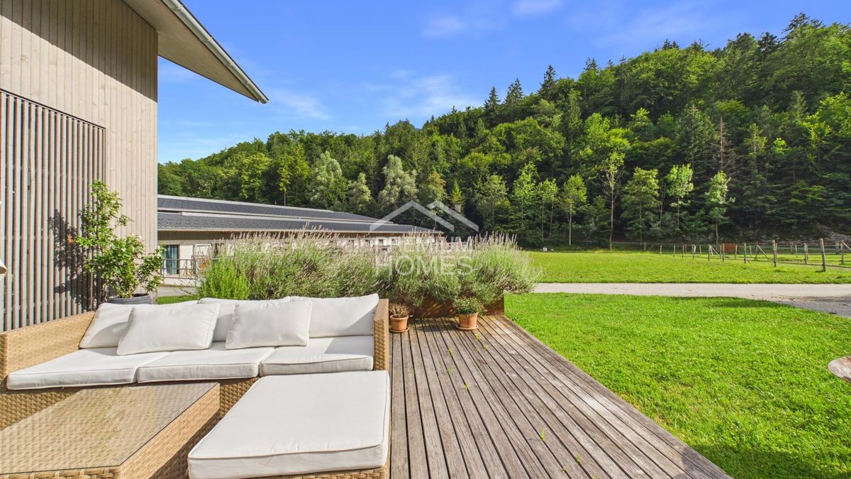 Ihr Lebenswerk zwischen Reithalle, Natur und Zuhause! - 6