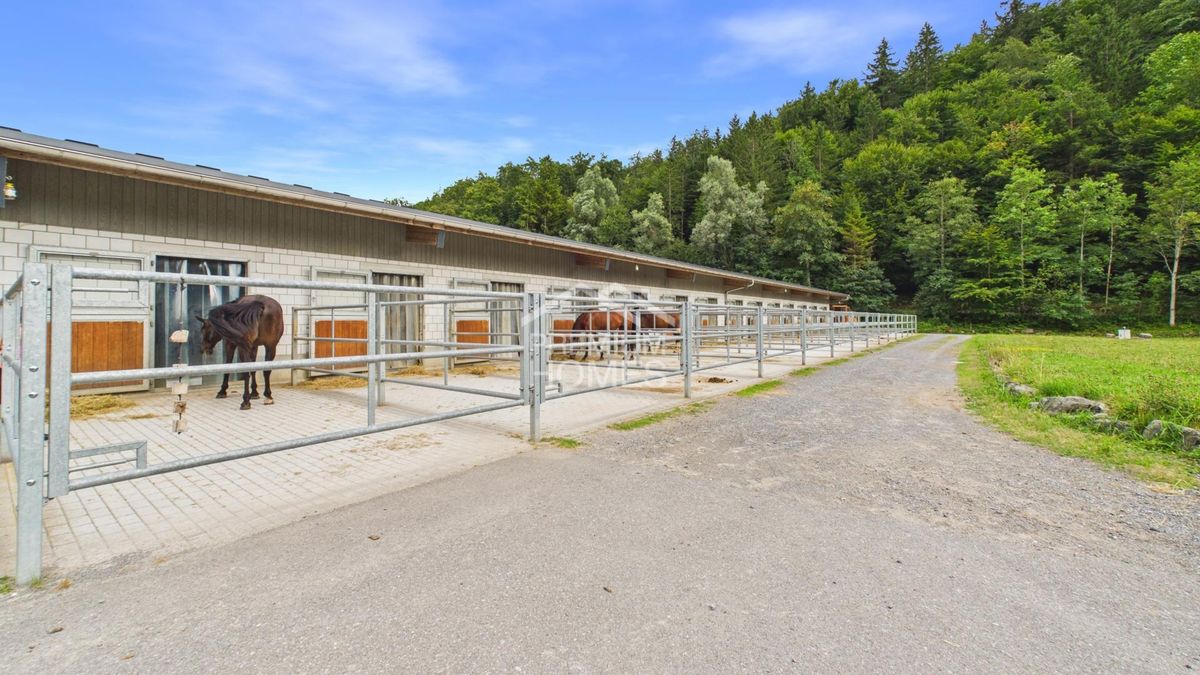 Ihr Lebenswerk zwischen Reithalle, Natur und Zuhause! - 7