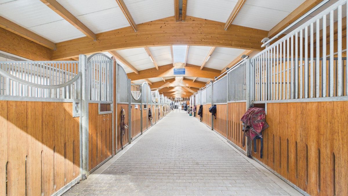 Professionelle Reitanlage mit 24 Boxen, Reithalle und Wohnhaus! - 1