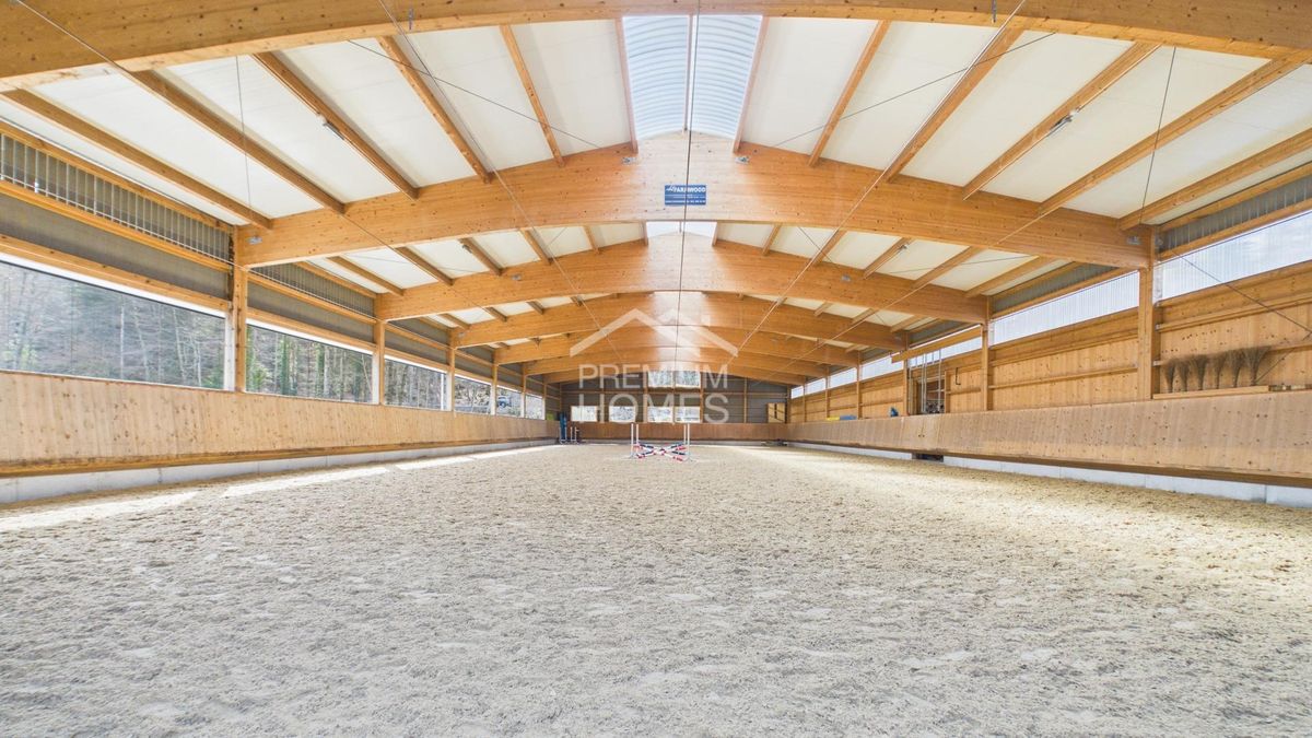 Professionelle Reitanlage mit 24 Boxen, Reithalle und Wohnhaus! - 2