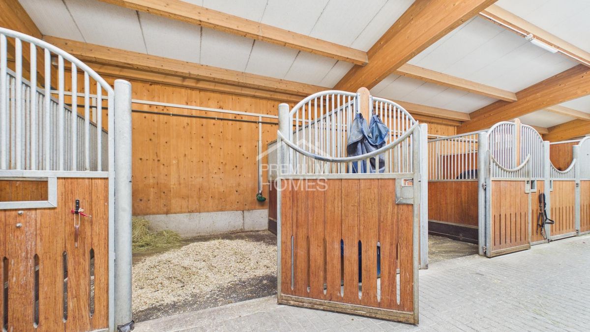 Professionelle Reitanlage mit 24 Boxen, Reithalle und Wohnhaus! - 3
