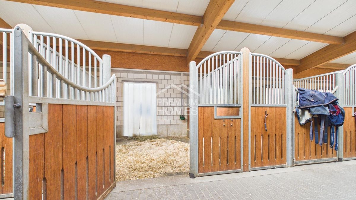Professionelle Reitanlage mit 24 Boxen, Reithalle und Wohnhaus! - 4