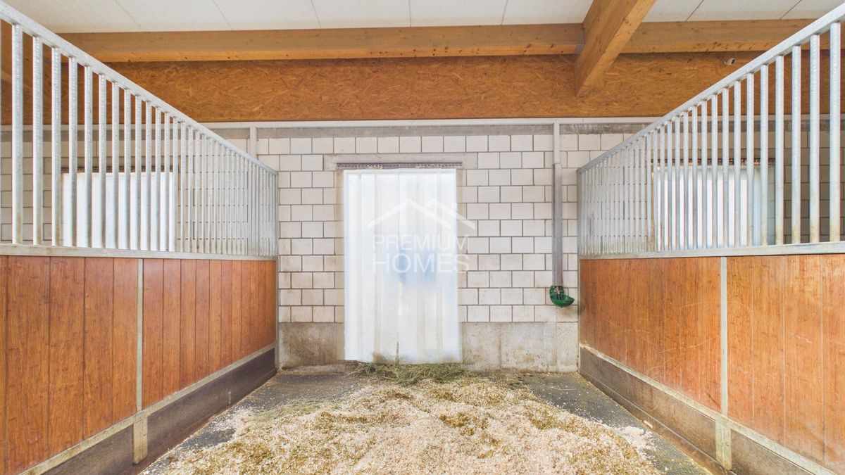 Professionelle Reitanlage mit 24 Boxen, Reithalle und Wohnhaus! - 5