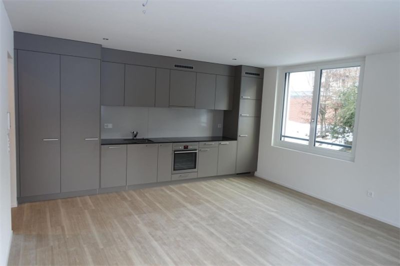 Komfortable 1.5-Zimmer-Wohnung im Lindenpark – frei ab 1. November 2026 - 1