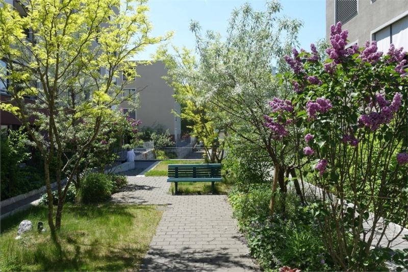 Komfortable 1.5-Zimmer-Wohnung im Lindenpark – frei ab 1. November 2026 - 3