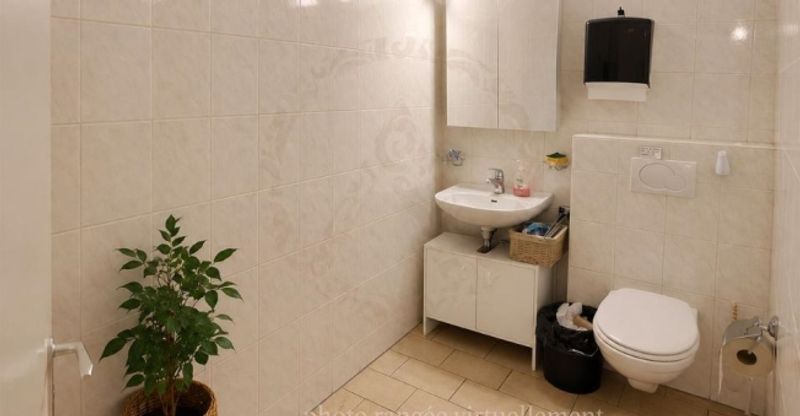 Grand local commercial de 115 m² au coeur de Sion - 7
