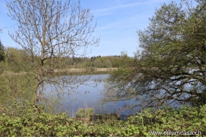 Wohnen im Paradies - 1