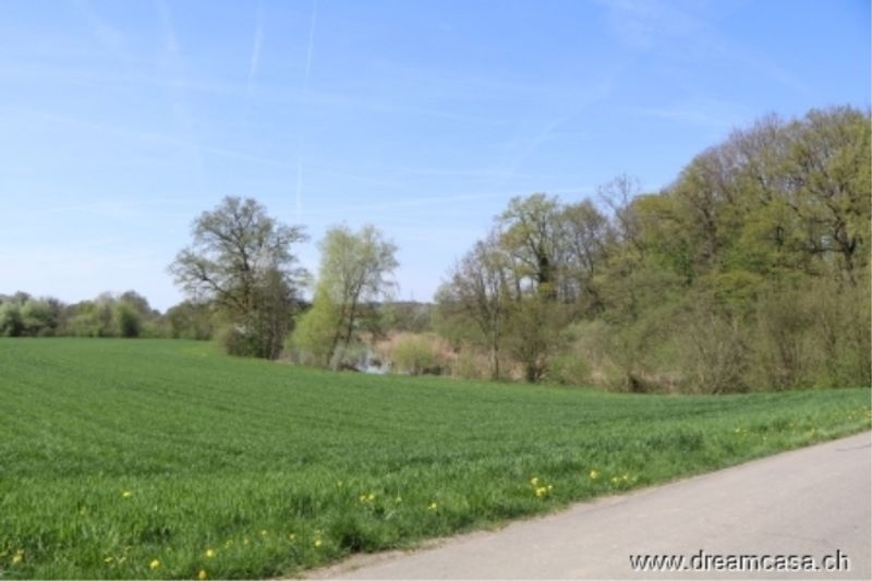 Wohnen im Paradies - 4