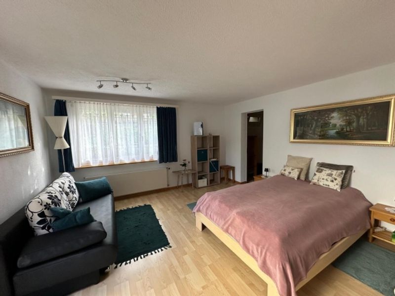 1 ZI-WOHNUNG IN RICKENBACH SULZ (ZH), MÖBLIERT, TEMPORÄR - 1