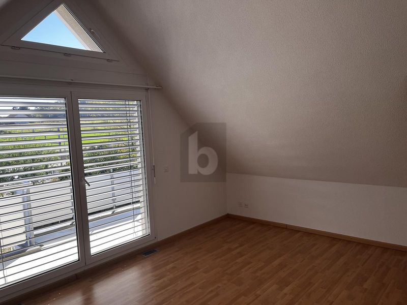 WEITBLICK, CHEMINÉE UND ZWEI TERRASSEN - 3