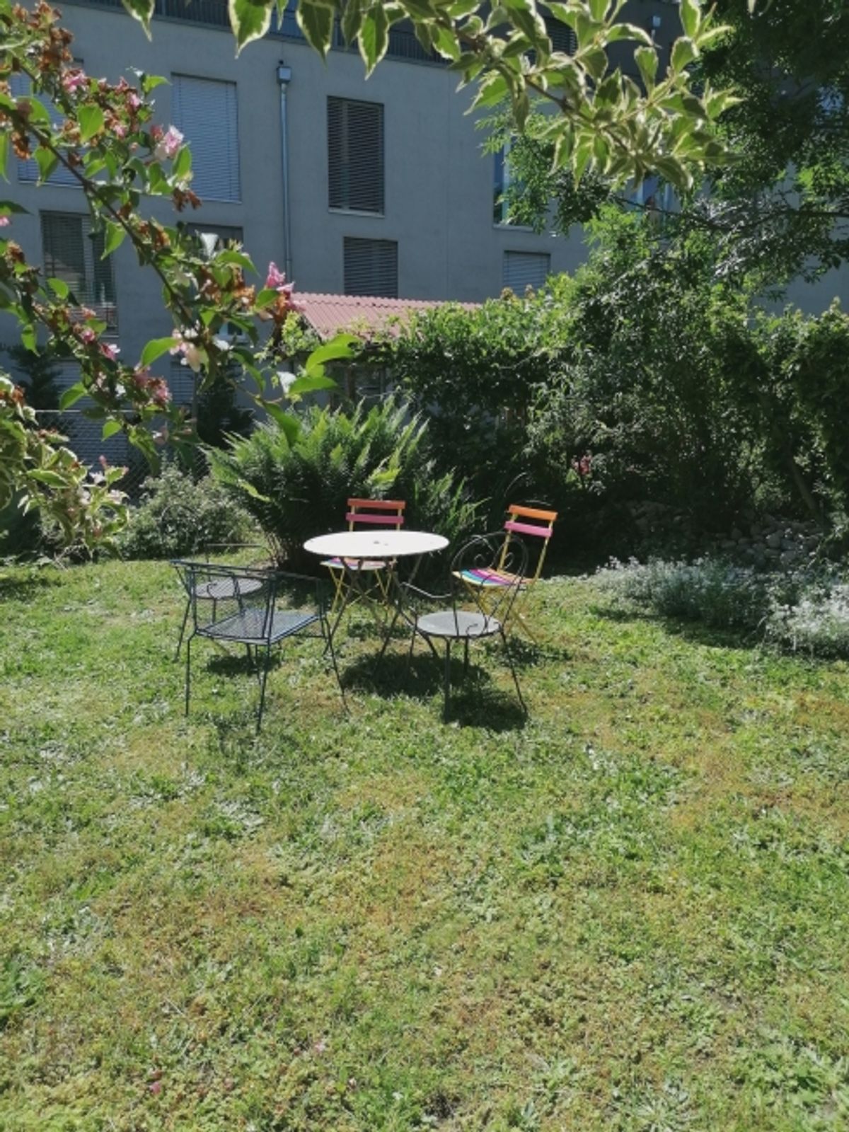 5½ ZI-WOHNUNG IN ERLACH (BE), MÖBLIERT, TEMPORÄR - 9